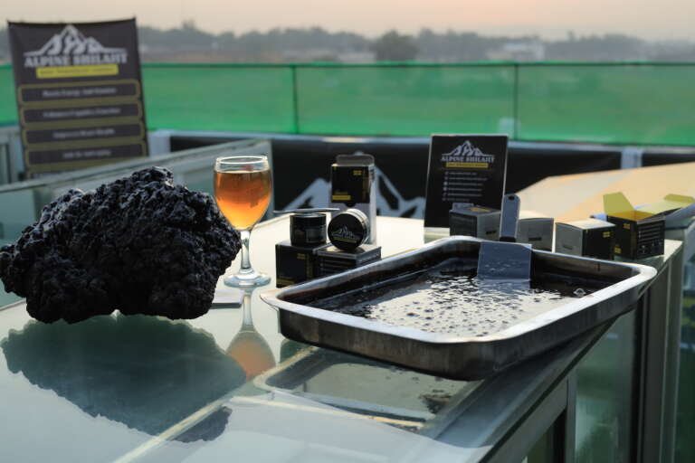 alpine shilajit