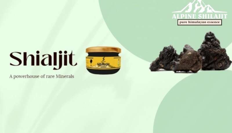 science behind shilajit and its transformative effects