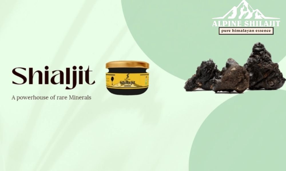 Exploring the science behind shilajit and its transformative effects